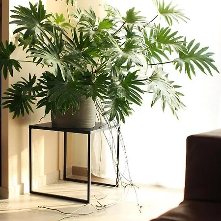 Clos De La Couturelle Apartmanhotel Millonfosse