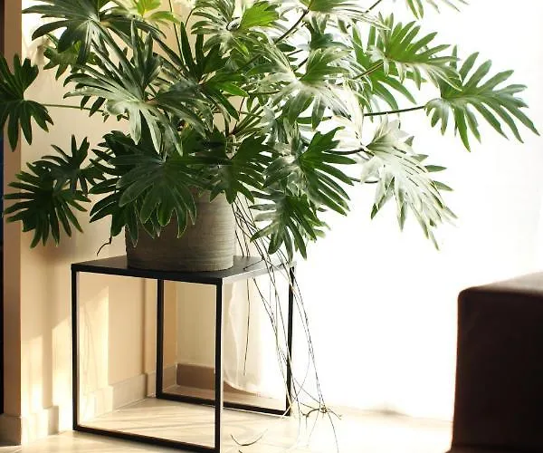 Clos De La Couturelle Appart hôtel Millonfosse